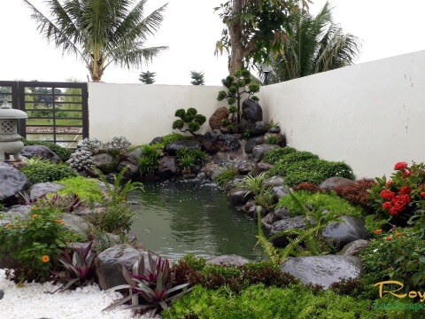 Thi công hồ cá koi sân vườn-1